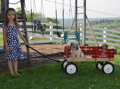 Wheelbarrows, Carts & WagonsBERLIN FLYER CLASSIC WAGON - Amish Handmade in 8 Bright ColorsAmishWheelsoutdoorSaving Shepherd