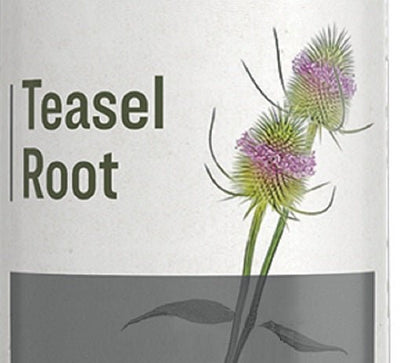 Herbal SupplementTEASEL ROOT - SINGLE HERB LIQUID EXTRACT TINCTUREShealthherbSaving Shepherd