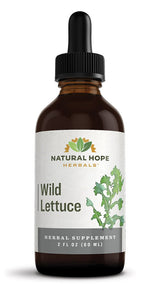 WILD LETTUCE - Natural Respiratory Support & Sleep Aid Tonic