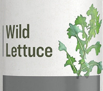 Herbal SupplementWILD LETTUCE - Herbal Extract TinctureshealthherbSaving Shepherd