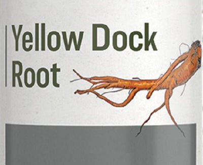 Herbal SupplementYELLOW DOCK ROOT DETOX TONIC - Herbal Extract TincturesCleansing Formuladigestive healthSaving Shepherd