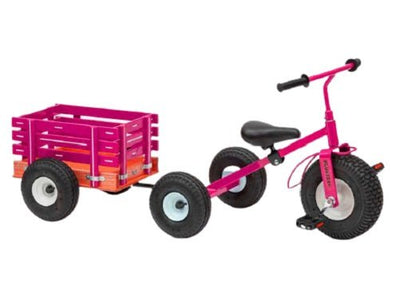 Lapp WagonsAMISH TRICYCLE with TRAILER - Heavy Duty Big Kids Trike & Cart USAAmishWheelstricycleSaving Shepherd