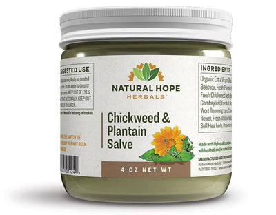 Skin CareCHICKWEED & PLANTAIN SALVE - for Dry Chapped Hands & SkinchickweedhealthSaving Shepherd