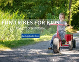 Lapp WagonsAMISH TRICYCLE with TRAILER - Heavy Duty Big Kids Trike & Cart USAAmishWheelstricycleSaving Shepherd