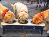 Dog Feeder3 BOWL ELEVATED POLY DOG FEEDER - 3 Sizes & Countless Color Combinationsdogdog feederSaving Shepherd
