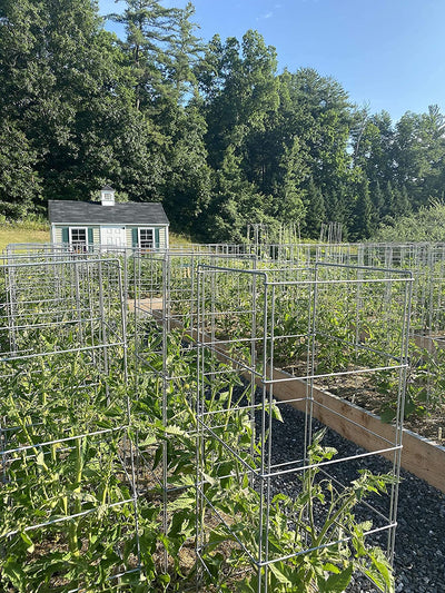 Vegetable CageFOLDING TOMATO CAGES - 3 Pack Heavy Duty Vegetable Supportgardenoutdoor livingSaving Shepherd